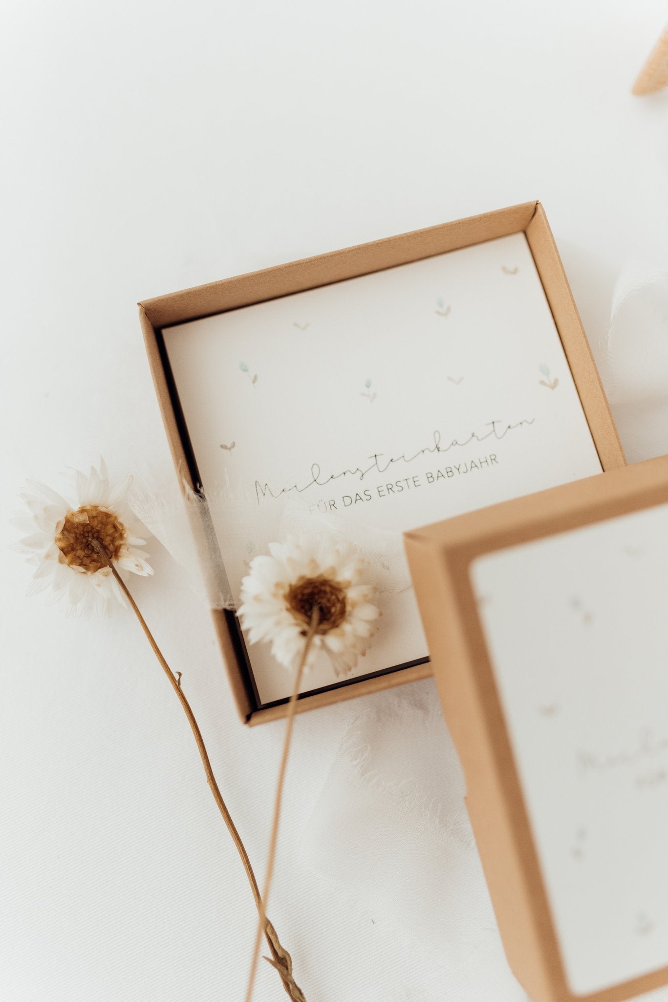 buyers-shop-meilensteinkarten-erstes-babyjahr-online-now_1.jpg