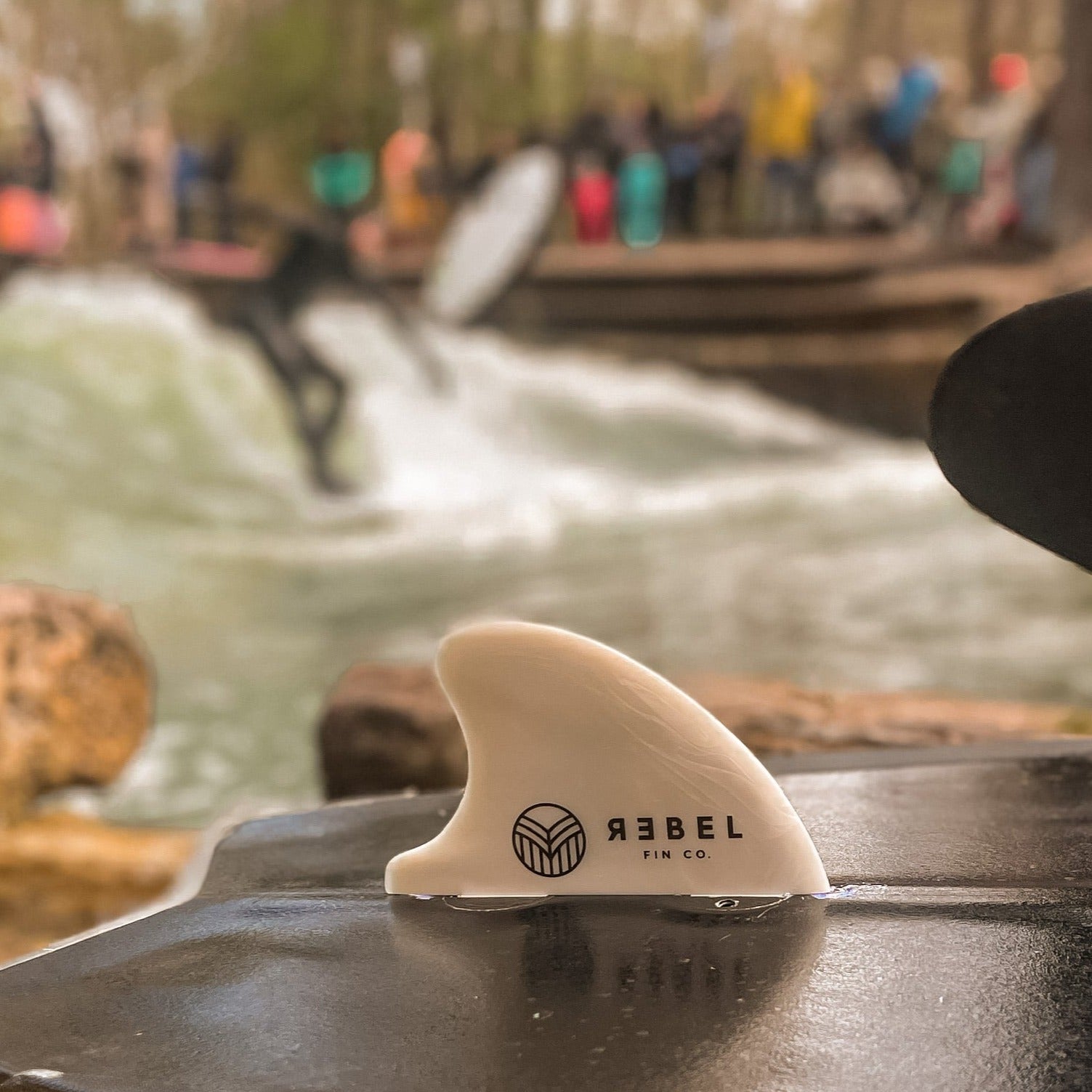 its-not-easy-being-a-fan-to-buy-rapid-fin-driftwood-x-rebel-fin-co-nachwachsende-rohstoffe-online-sale_1.jpg
