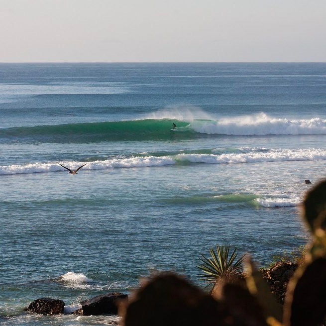 shop-for-pro-the-surfers-journal-30-2-online-hot-sale_2.jpg