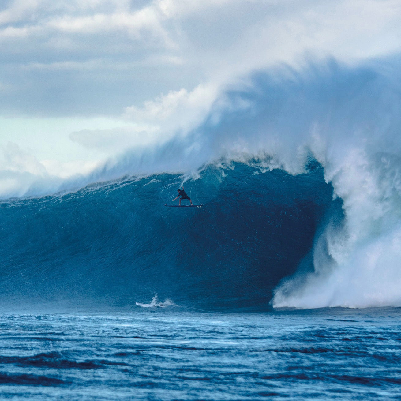 shop-the-official-shop-of-the-surfers-journal-29-6-hot-on-sale_2.jpg
