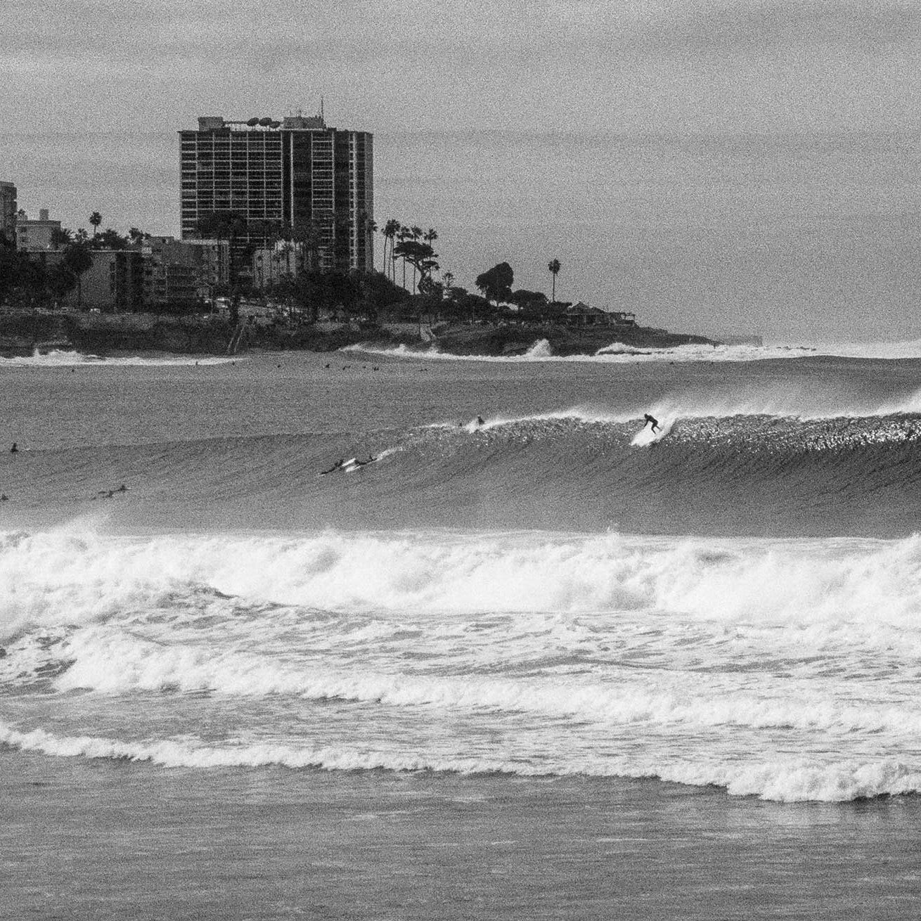 shop-the-official-shop-of-the-surfers-journal-29-6-hot-on-sale_5.jpg