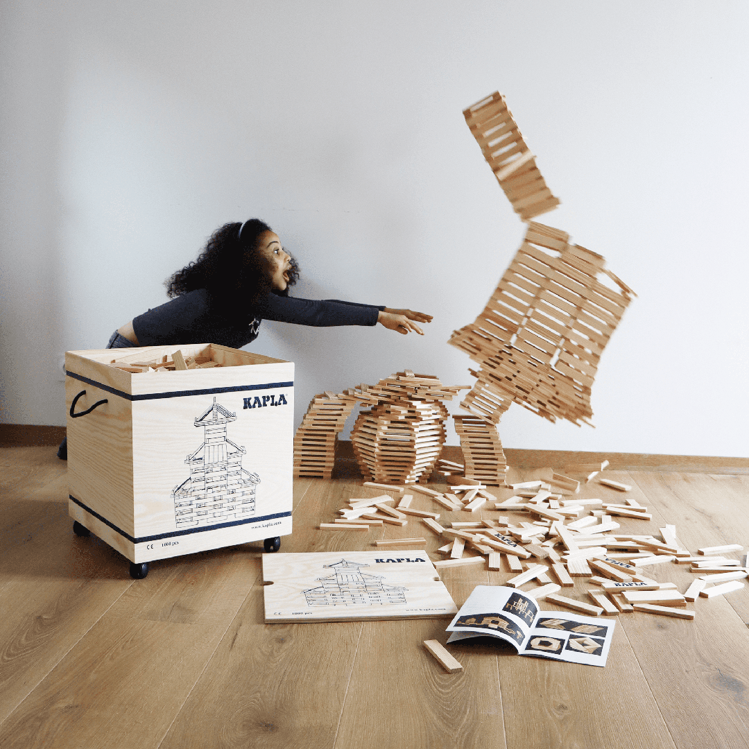 youve-never-seen-kapla-1000er-kasten-auf-rollen-online_3.png
