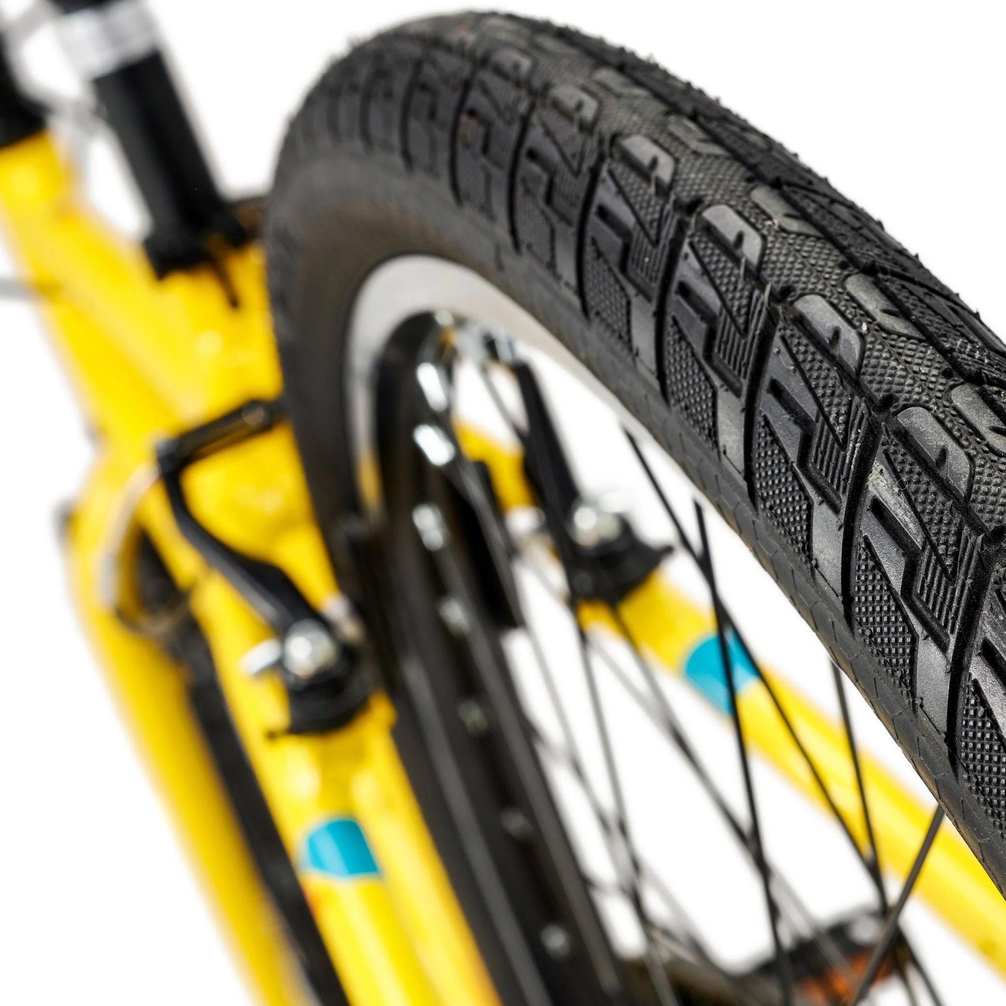 shop-online-and-get-your-favourite-academy-grade-6-belt-26-zoll-kinderfahrrad-mit-riemenantrieb-online-sale_9.webp