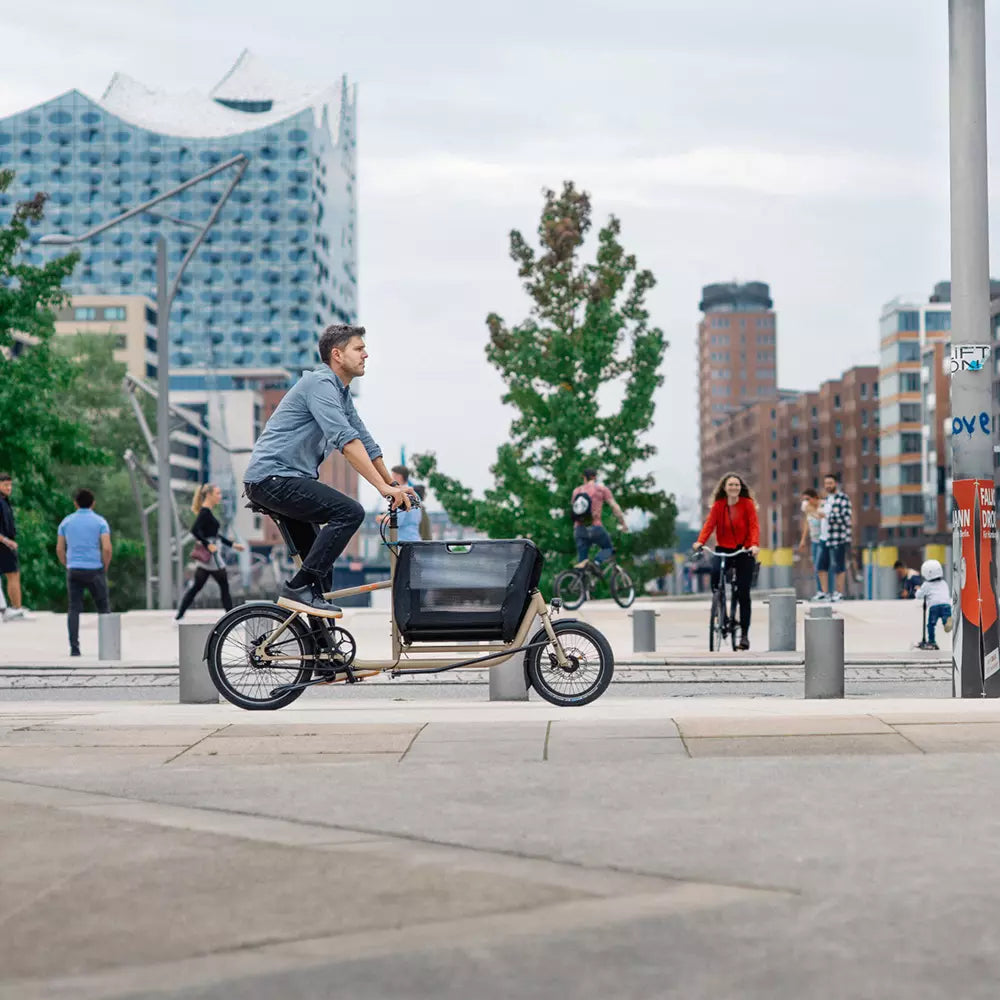 order-your-favorite-muli-motor-st-lastenrad-online-hot-sale_3.jpg